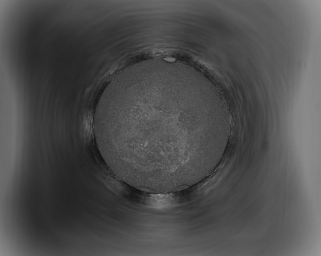 X0000100500240200806131442