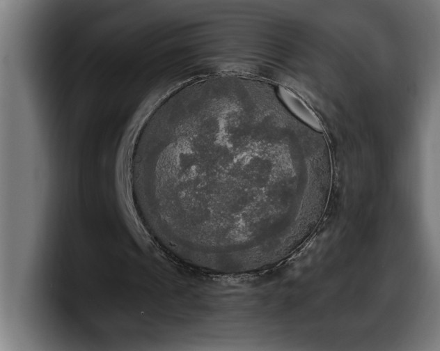 X0000100500241200806131442