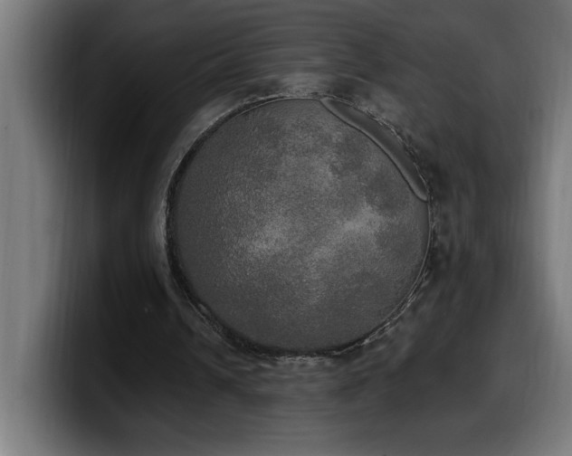 X0000100500242200806131442