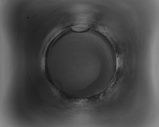 X0000100500243200806131442