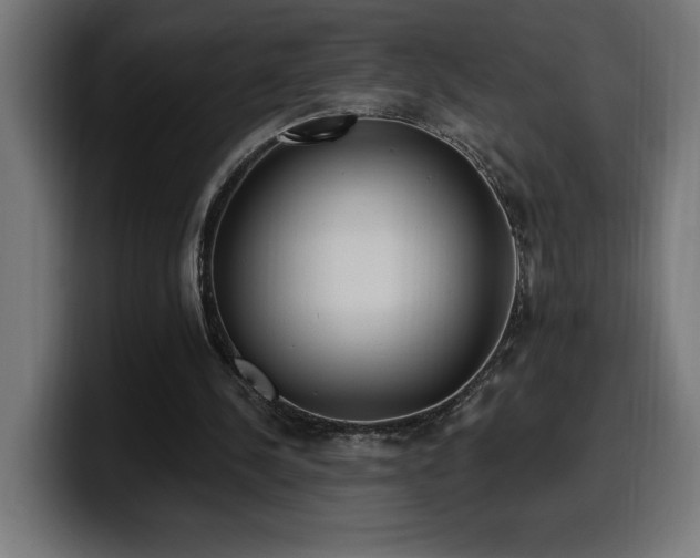 X0000100500244200806131442