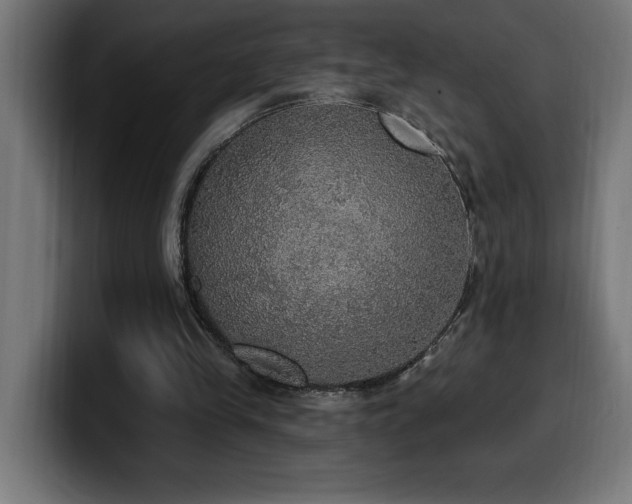 X0000100500245200806131442