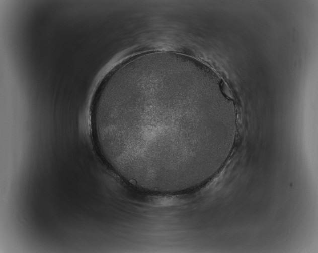 X0000100500246200806131442