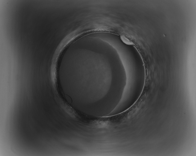 X0000100500247200806131442