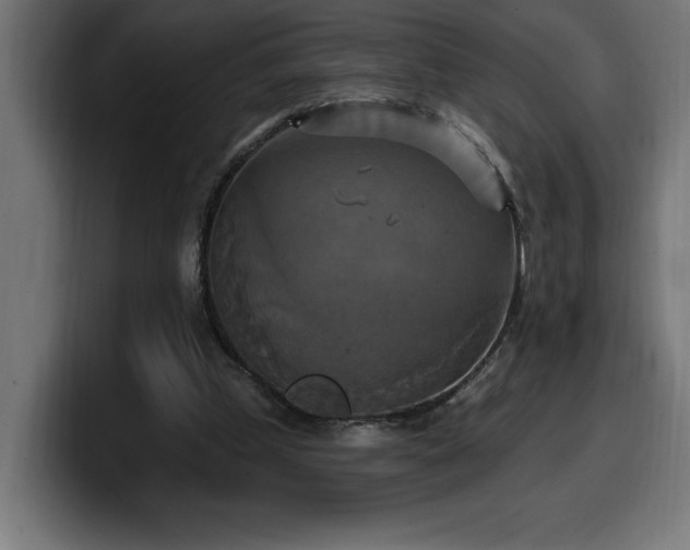 X0000100500249200806131442