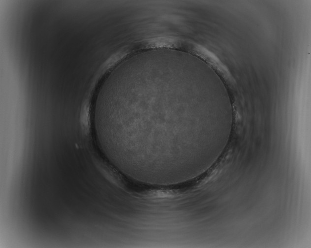 X0000100500250200806131442