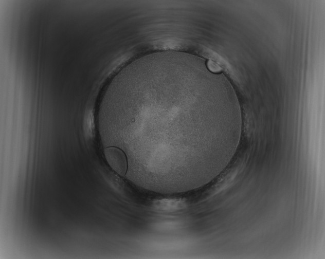 X0000100500251200806131442