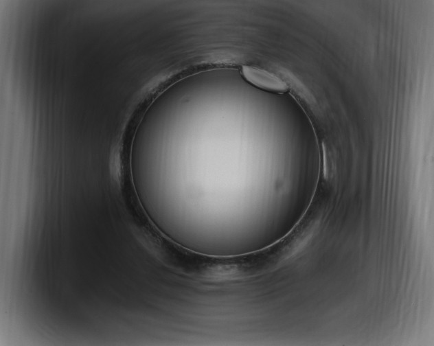 X0000100500252200806131442