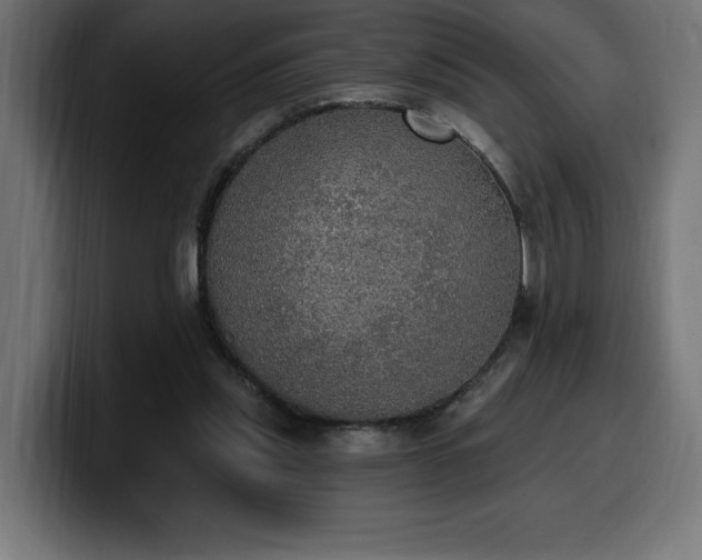 X0000100500253200806131442