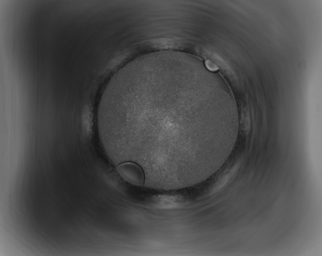 X0000100500255200806131442