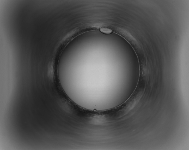 X0000100500256200806131442