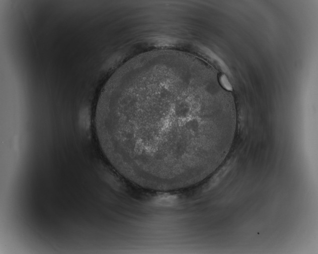 X0000100500257200806131442