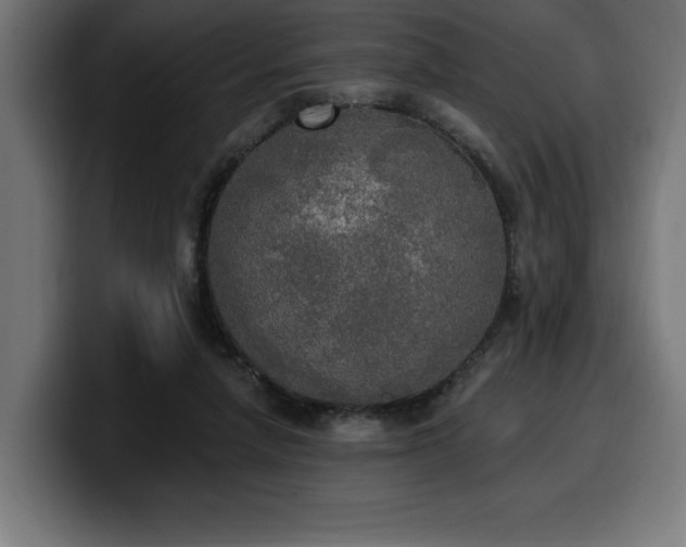 X0000100500258200806131442