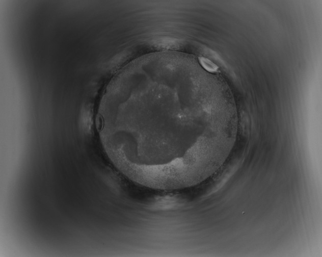 X0000100500259200806131442