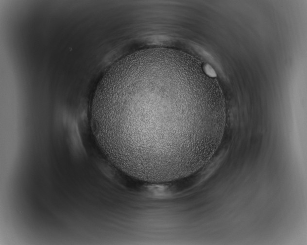 X0000100500265200806131442