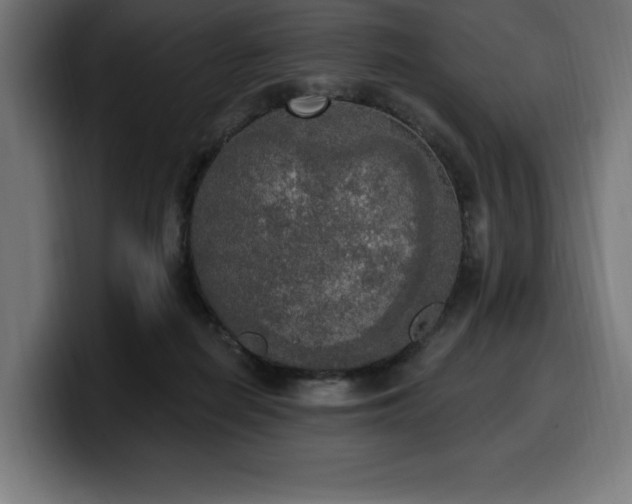 X0000100500266200806131442