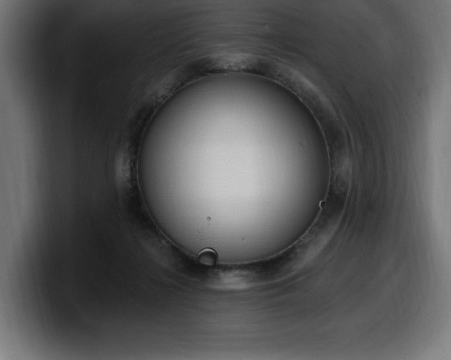 X0000100500268200806131442