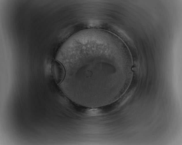 X0000100500269200806131442