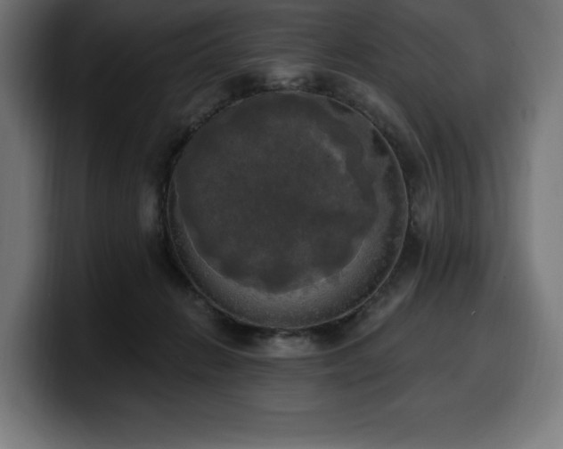 X0000100500270200806131442