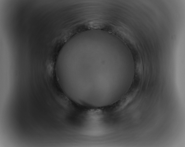 X0000100500271200806131442