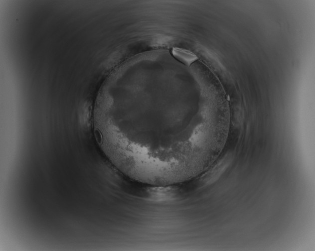 X0000100500273200806131442