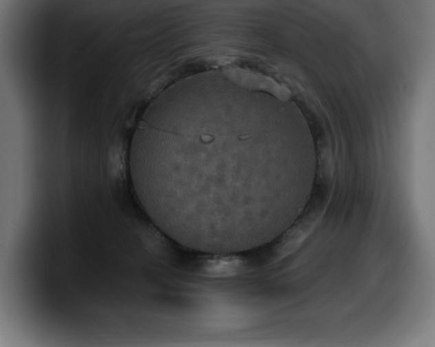 X0000100500274200806131442