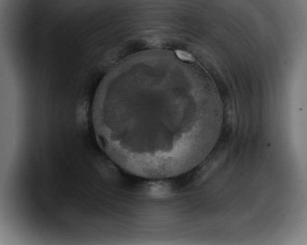 X0000100500275200806131442