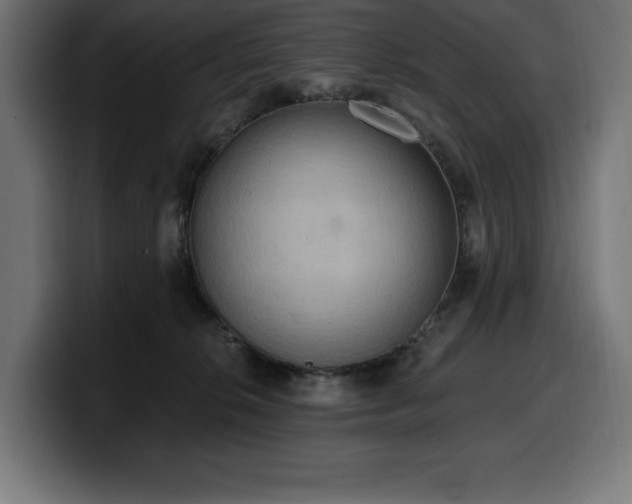 X0000100500276200806131442