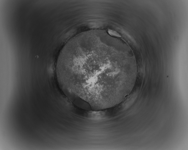 X0000100500277200806131442