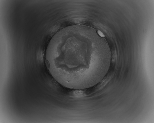 X0000100500279200806131442