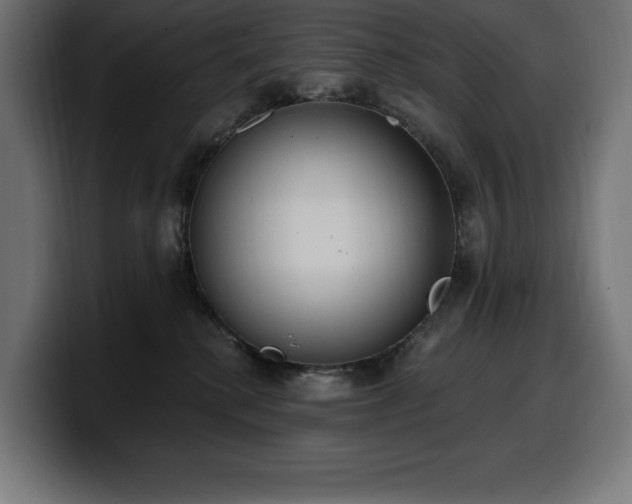 X0000100500280200806131442