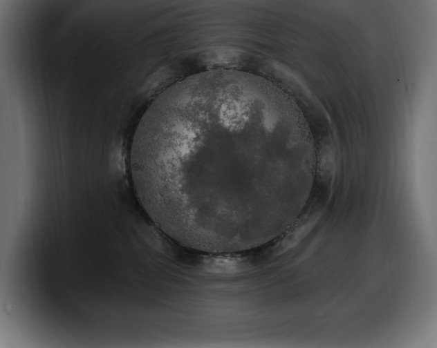 X0000100500282200806131442