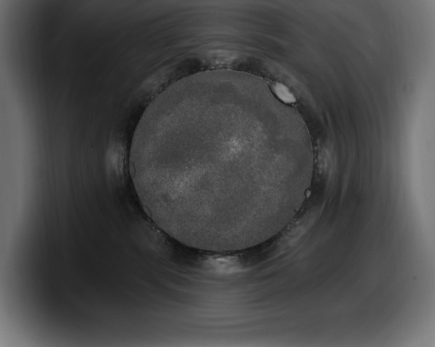 X0000100500283200806131442