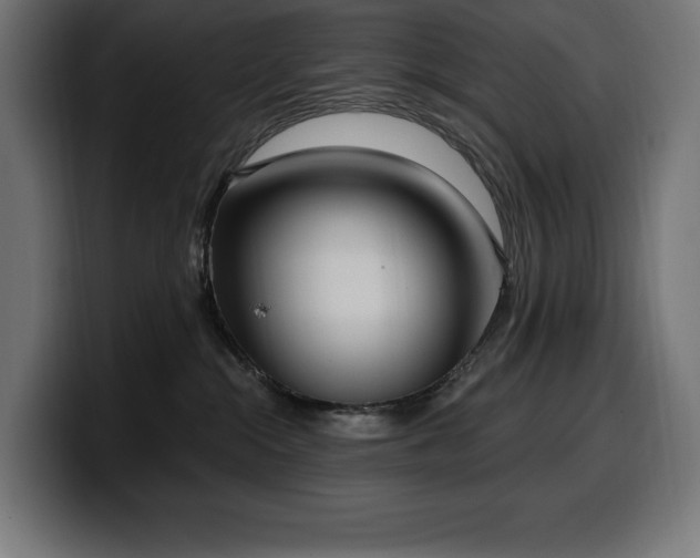 X0000100500284200806131442