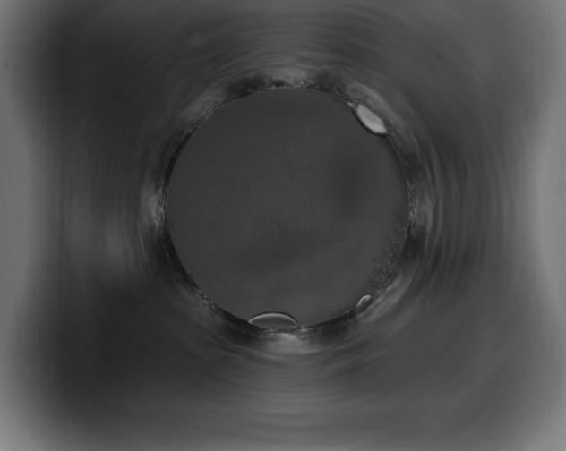 X0000100500285200806131442