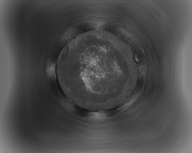 X0000100500286200806131442