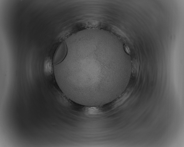 X0000100500287200806131442