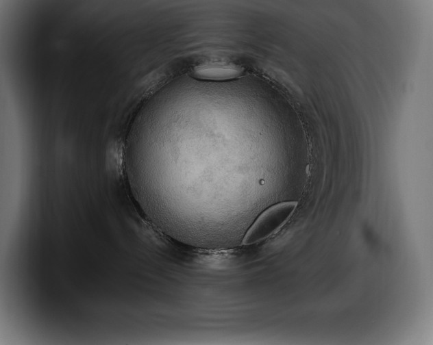 X0000100500288200806131442