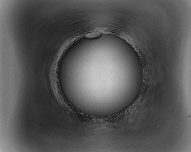 X0000100500289200806131442