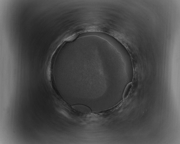 X0000100500290200806131442