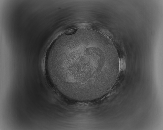 X0000100500291200806131442