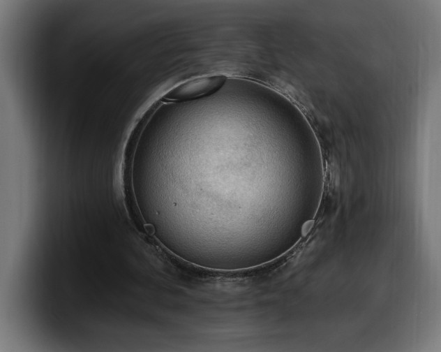 X0000100500292200806131442