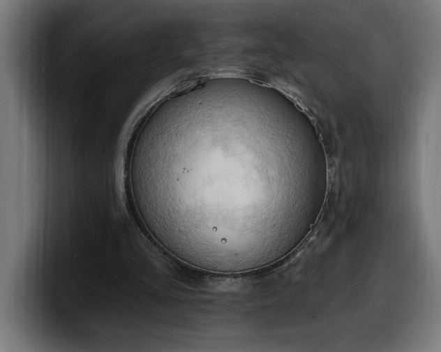 X0000100500293200806131442