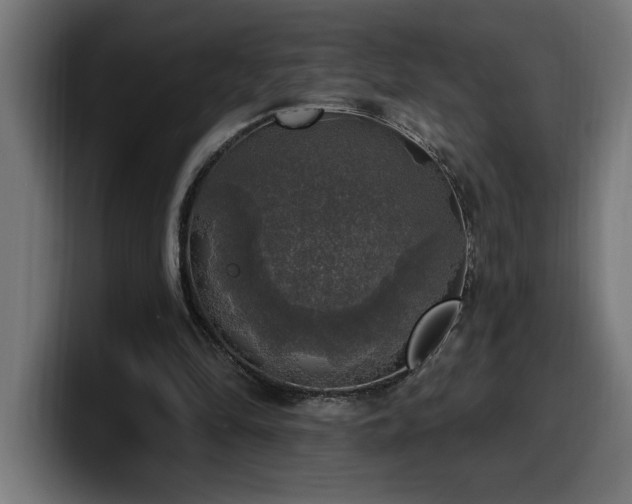 X0000100500294200806131442