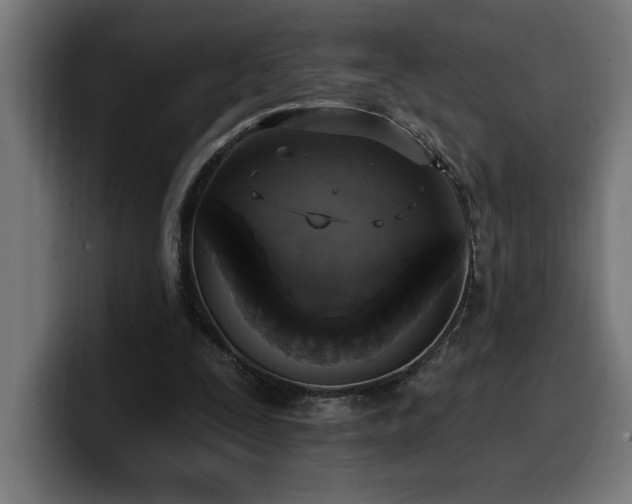 X0000100500295200806131442