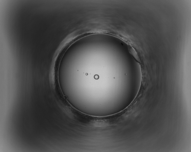 X0000100500296200806131442