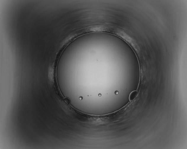 X0000100500297200806131442