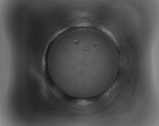 X0000100500298200806131442