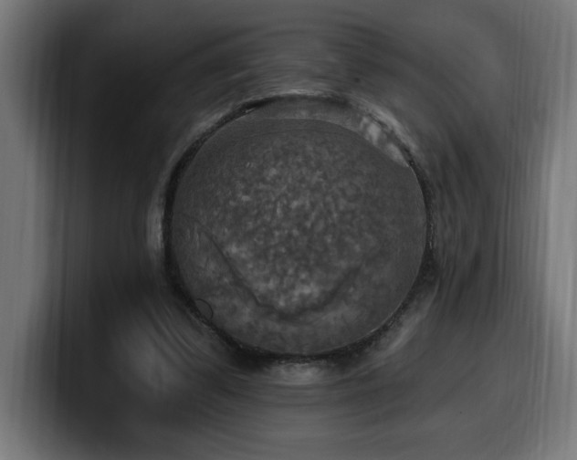 X0000100500299200806131442