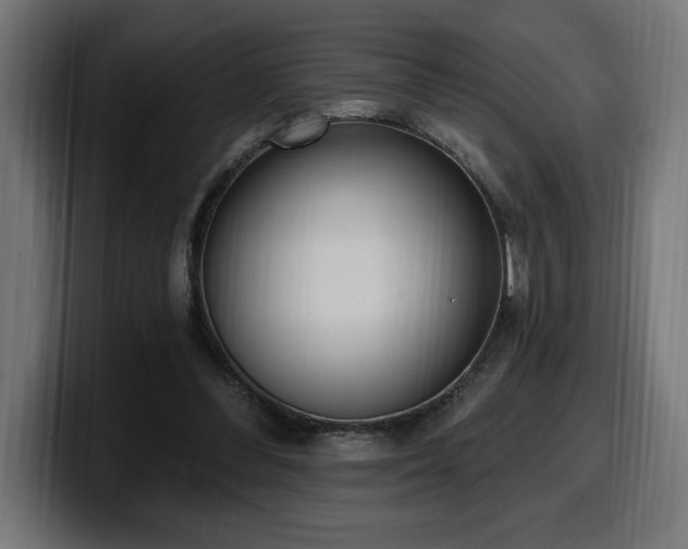 X0000100500300200806131442